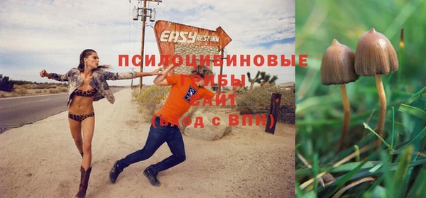 синтетический гашиш Козельск