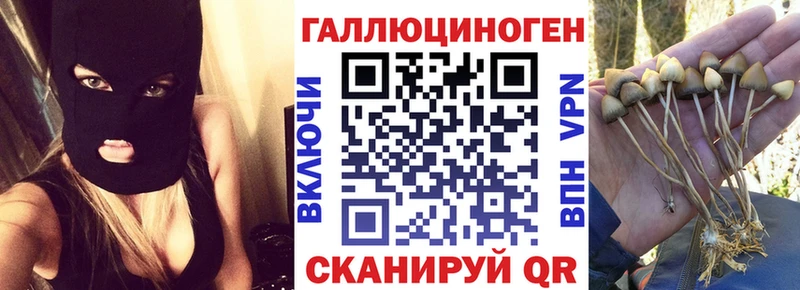 Галлюциногенные грибы Magic Shrooms  Кубинка 