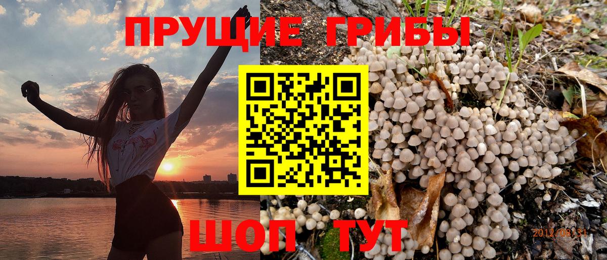 Псилоцибиновые грибы Magic Shrooms Кубинка