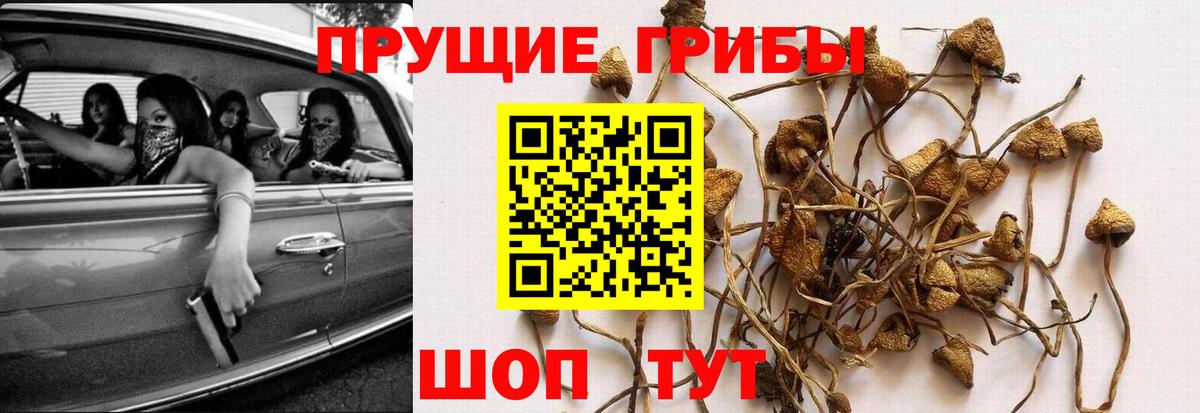Галлюциногенные грибы Magic Shrooms  Вход с VPN  Кубинка 